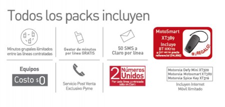 Descripcion de lo que incluye el Plan